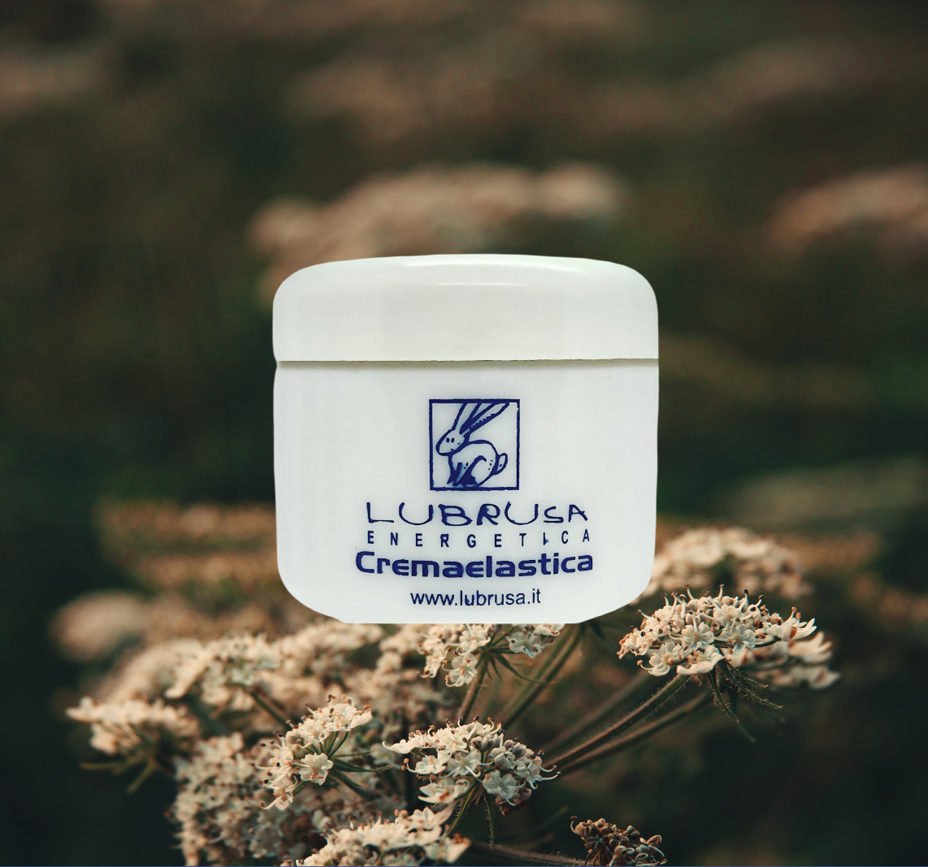 Crema Elastica