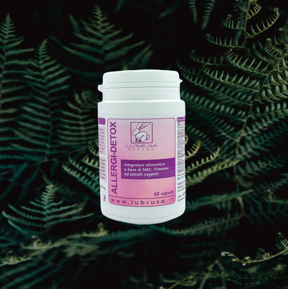 Allergi-Detox