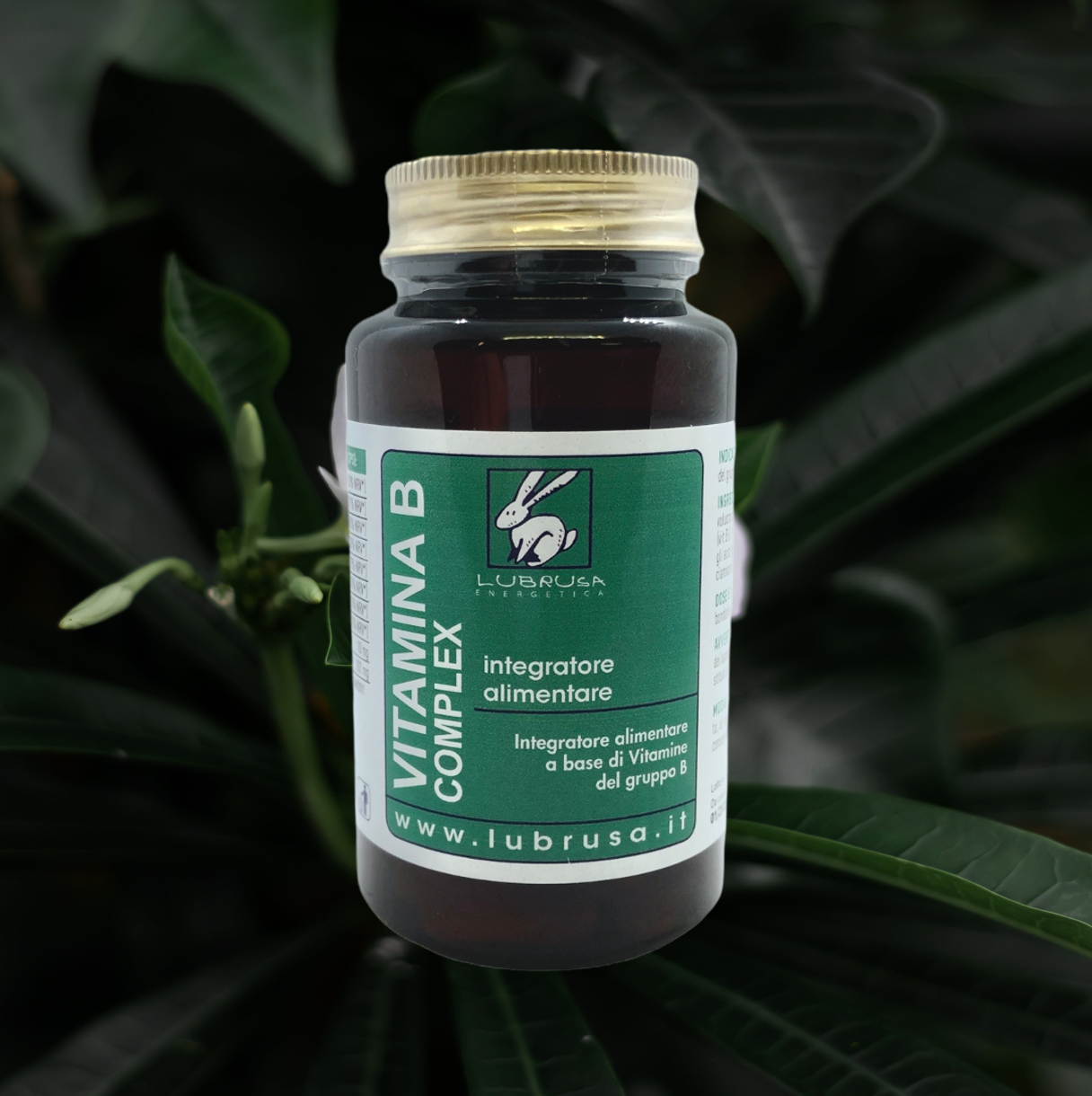 Vitamina B Complex