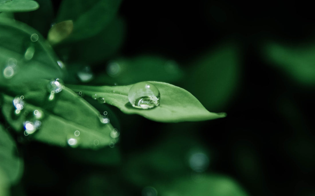 Con la filosofia e i metodi Lubrusa: Ritrovi l’energia e la bellezza dentro di te...